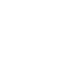 icone professionnel auto Guadeloupe