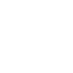 icone vente voiture occasion controlé